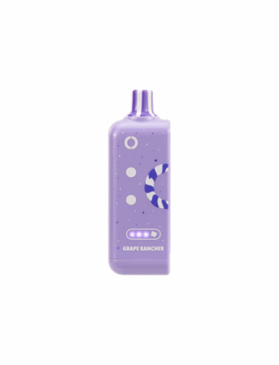 Off Stamp X Cube Pod Grape Rancher 25000 Puffs
