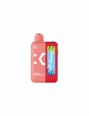 Off Stamp X Cube kit Bangin Watermelon 25000 Puffs